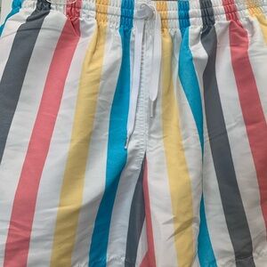 Chubbies turquoise, yellow, grey, white, and pink Striped Swim trunks